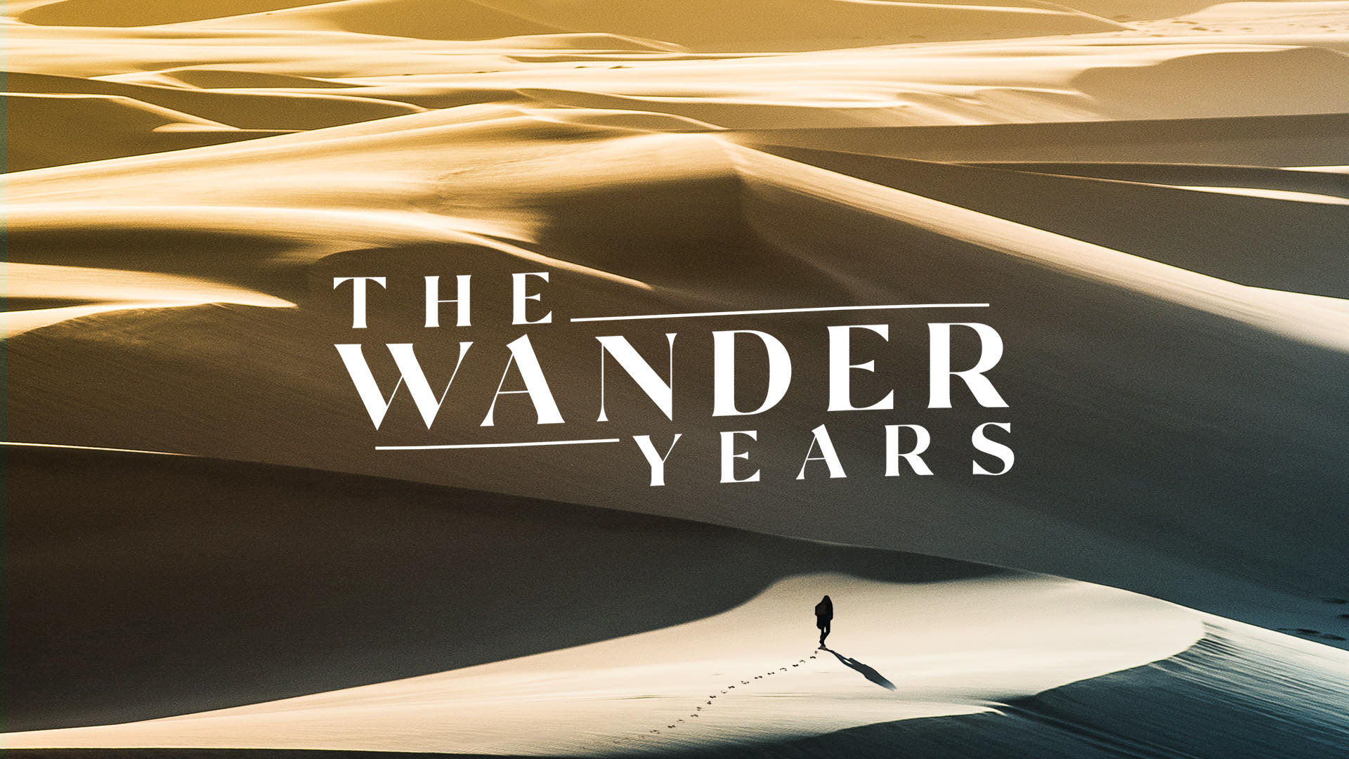 The Wander Years