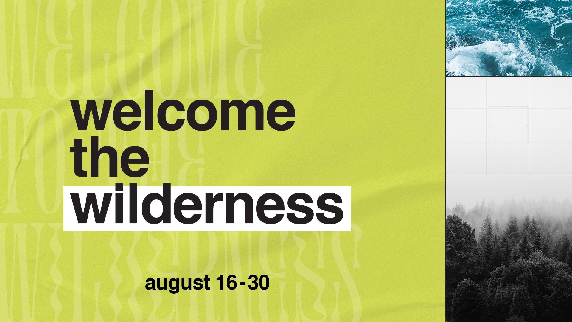 Learning to Welcome the Wilderness